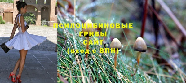 винт Алексеевка