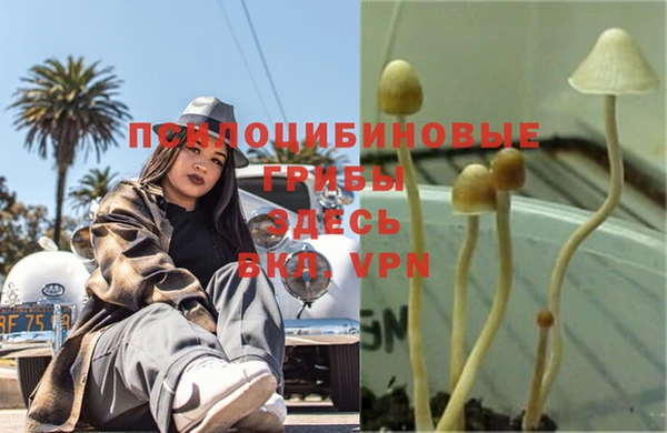 твердый Алзамай