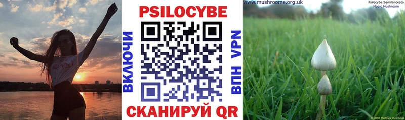 Псилоцибиновые грибы прущие грибы Алушта